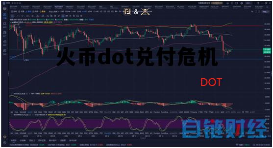 包含火币dot兑付危机的词条
