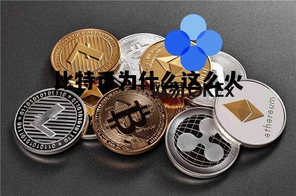 为什么大家认可比特币 比特币为什么这么火