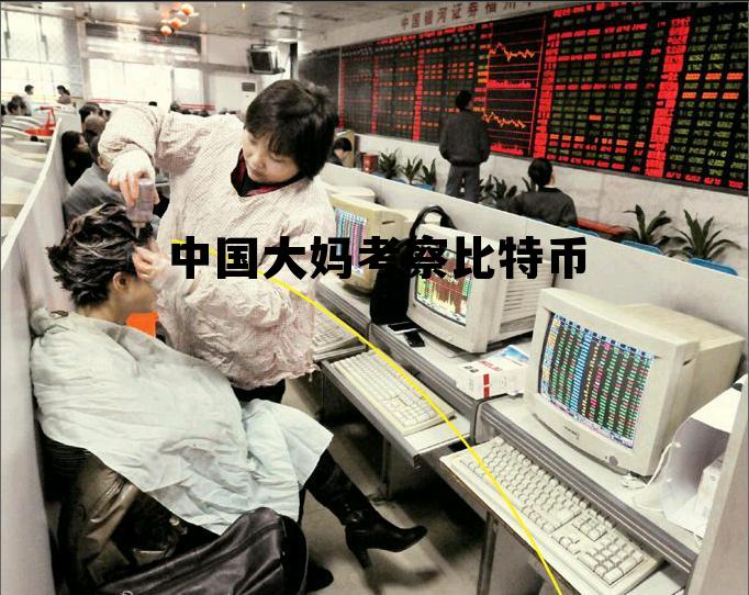 买比特币的老太太 中国大妈考察比特币