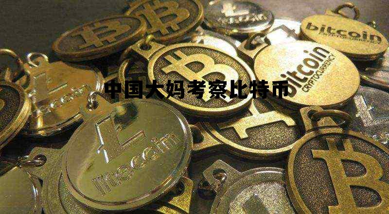 买比特币的老太太 中国大妈考察比特币