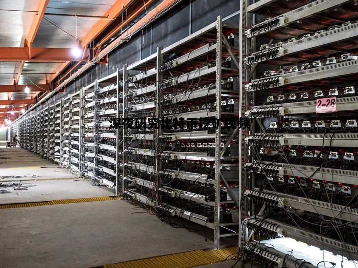 深夜研究比特币挖矿视频大全 深夜研究比特币挖矿视频