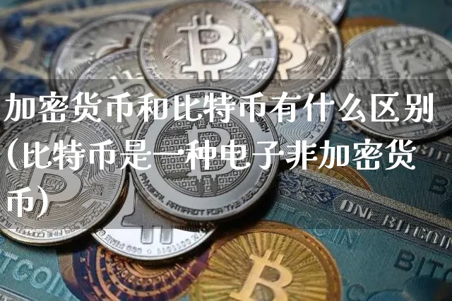 比特币标准中文版 比特币最新标准货币