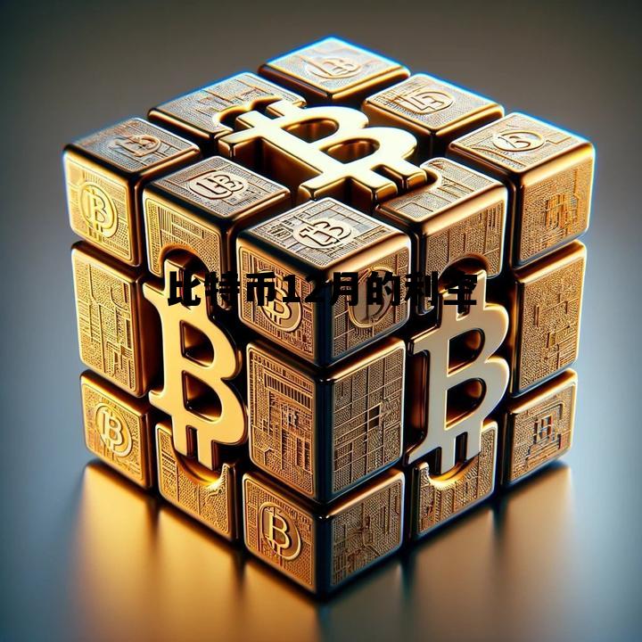 2021年12月比特币价格 比特币12月的利空