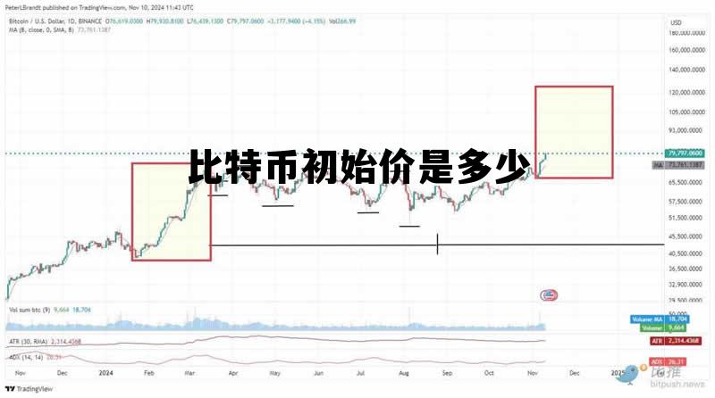 比特币初始价是多少啊 比特币初始价是多少
