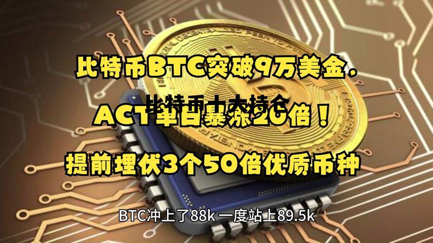 比特币持有者前十 比特币十大持仓